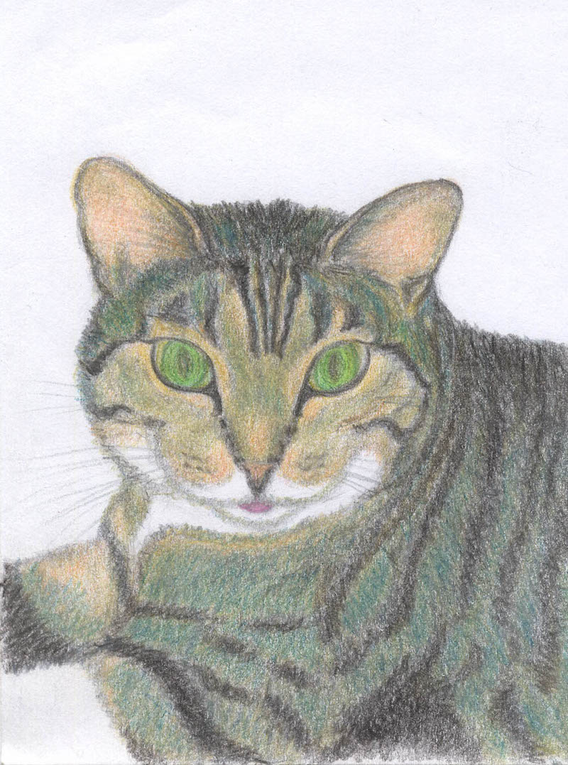 disegno_01.jpg