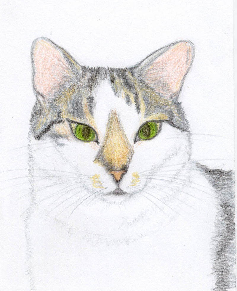 disegno_02.jpg