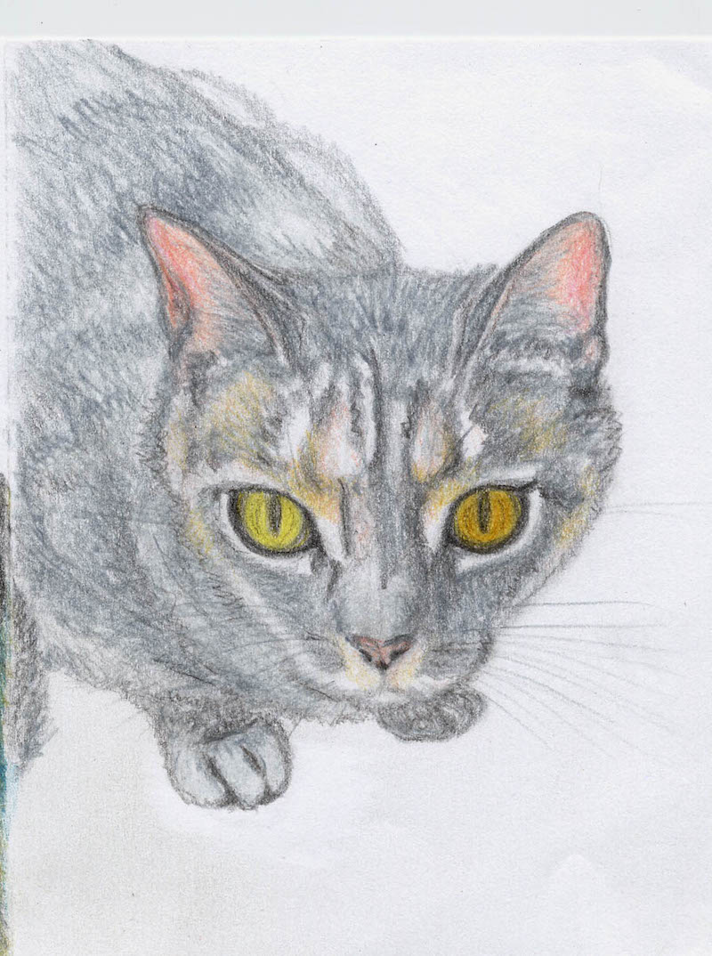 disegno_03.jpg