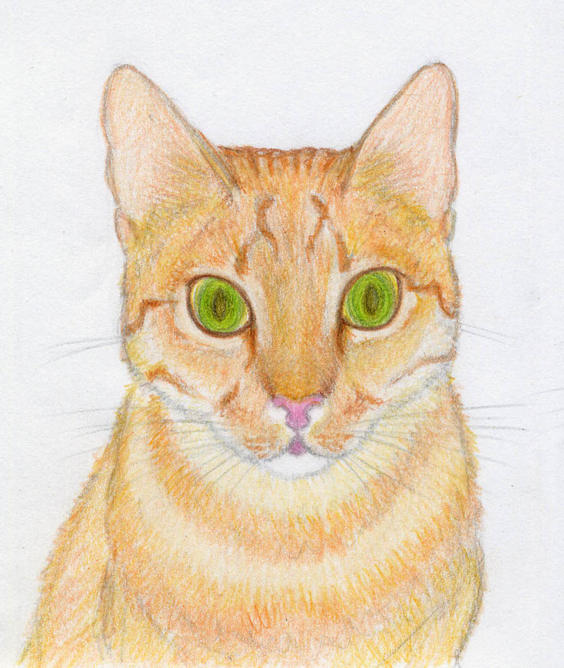 disegno_04.jpg