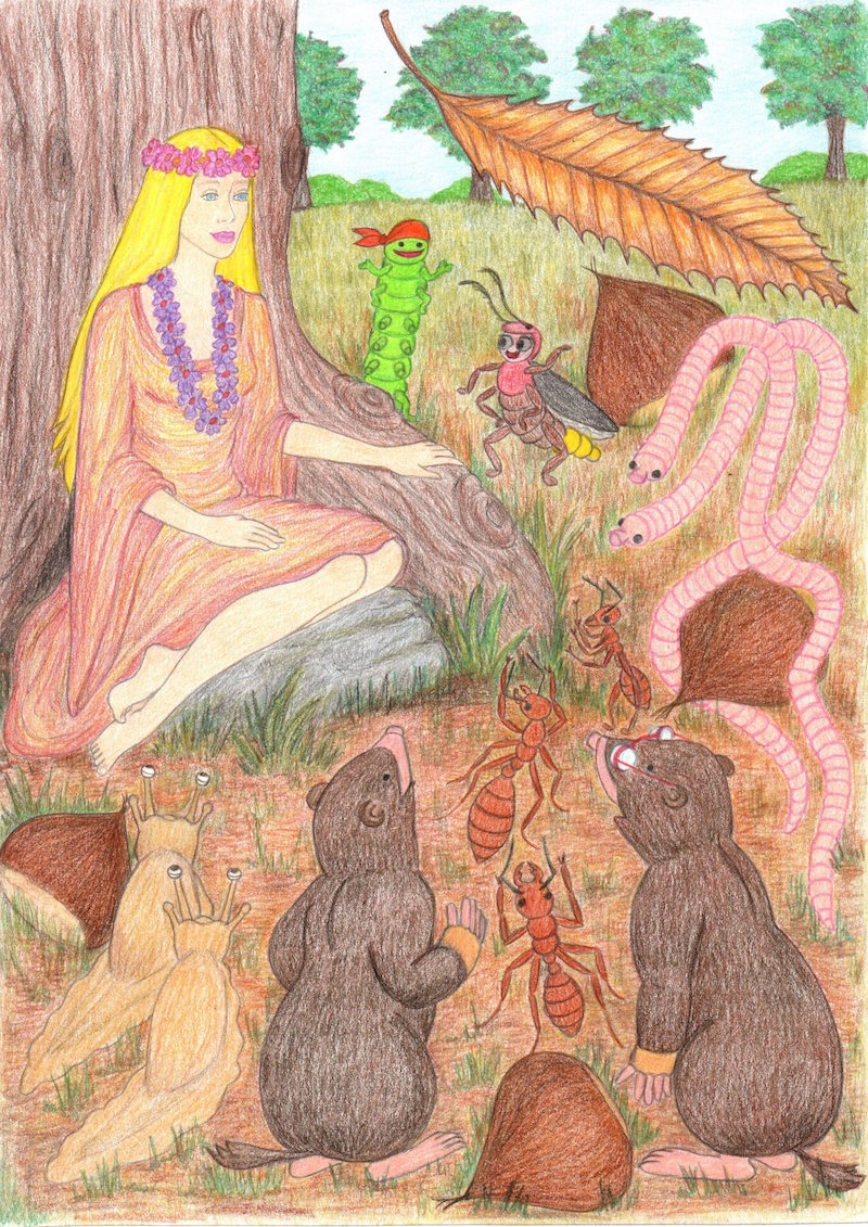 disegno_12.jpg