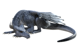 drago