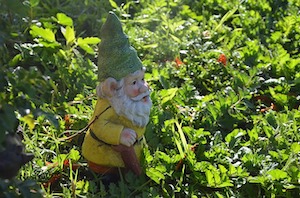 gnome 4308259 640