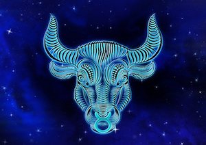 toro